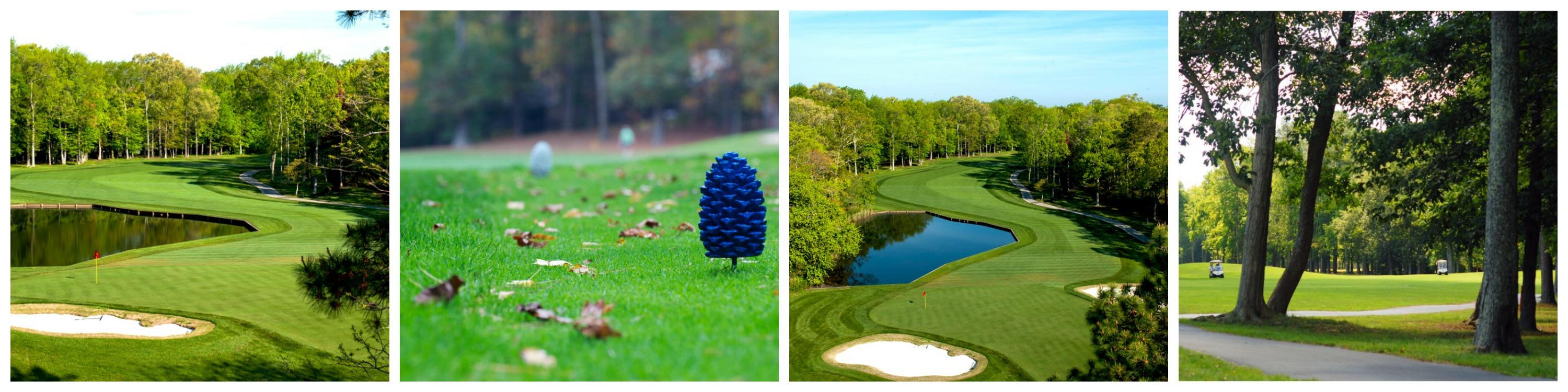 Golf Course Collage